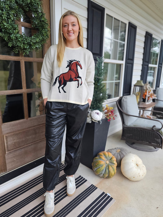 Giddy Up Long Sleeve Western Horse Sweater Top