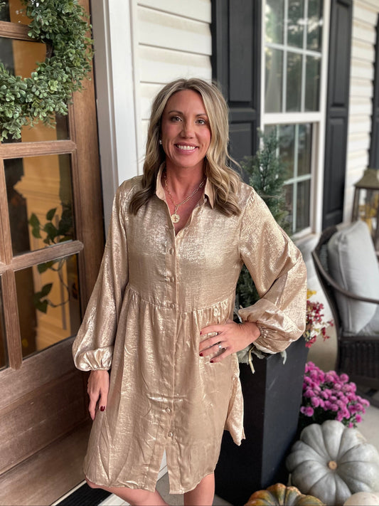 Metallic Sheen Puff Sleeve Button Up Mini Shirt Dress