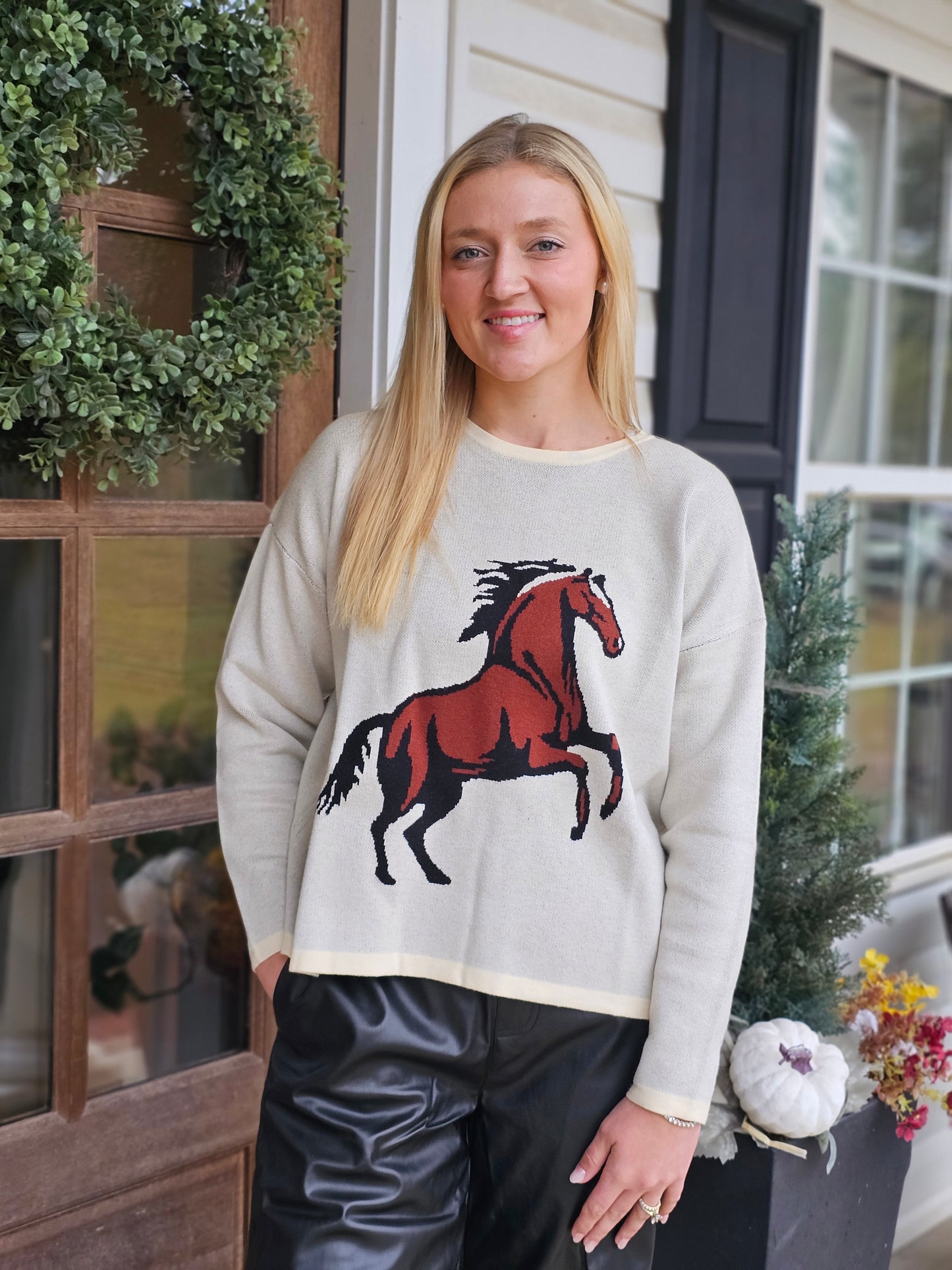 Giddy Up Long Sleeve Western Horse Sweater Top