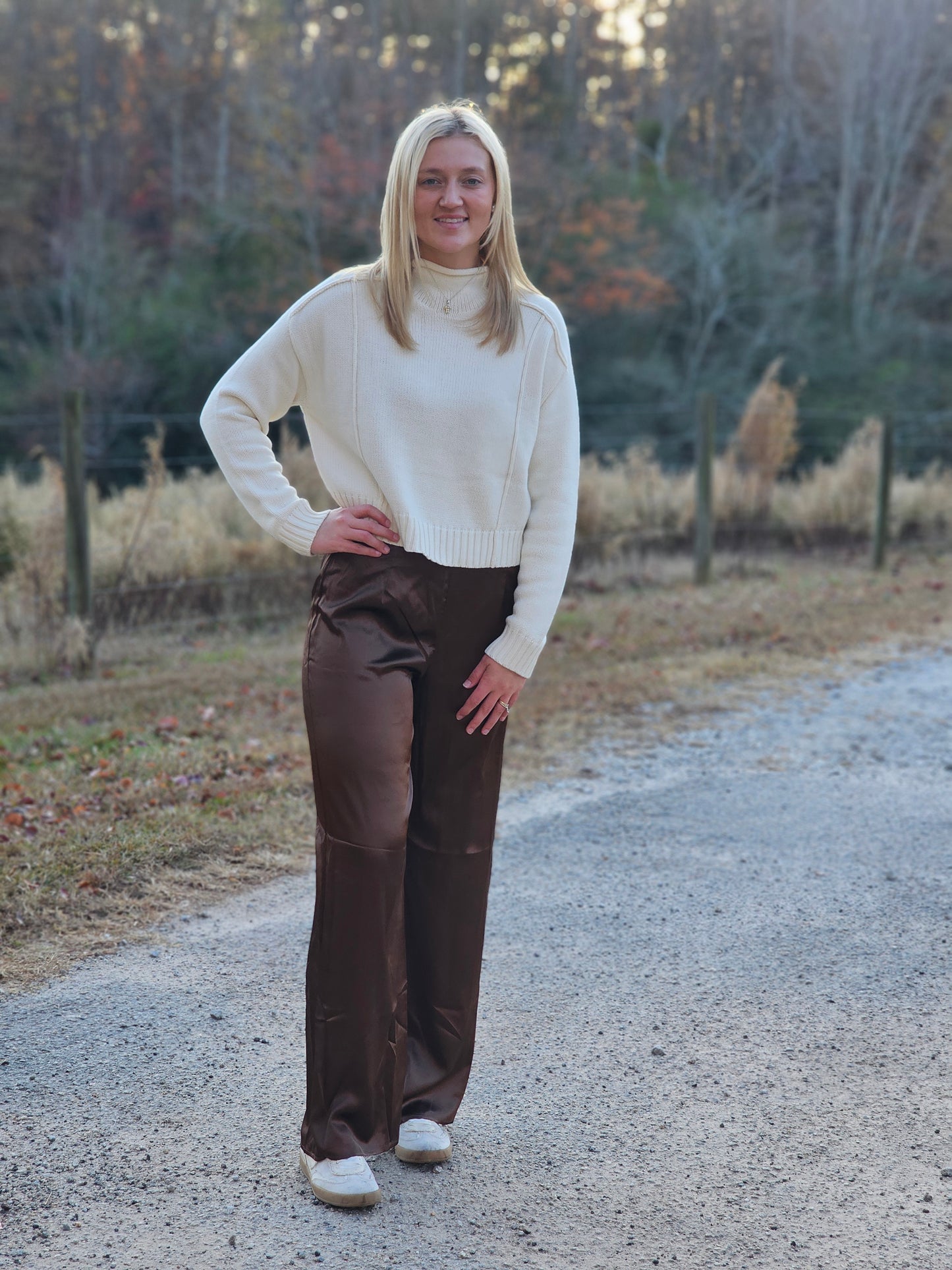 Brown Satin Wide Leg Pants